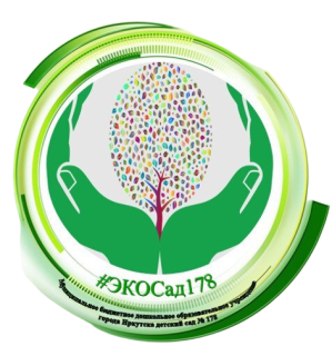 Муниципальное бюджетное дошкольное образовательное учреждение города Иркутска детский сад № 178.